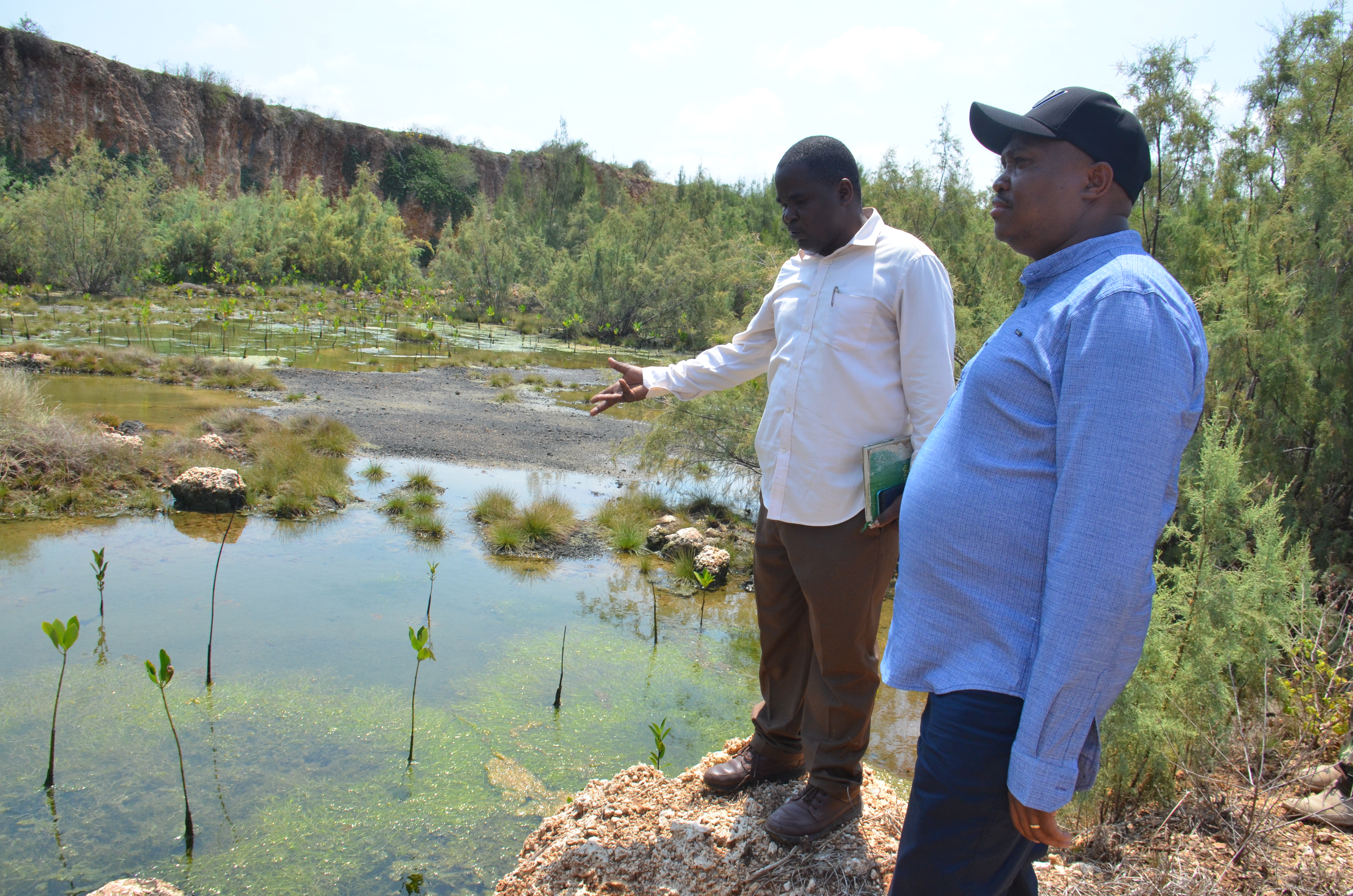 PS Elijah Mwangi (r) at a site where a mine is being rehabilitated with seagrass and mangrove seedlings.