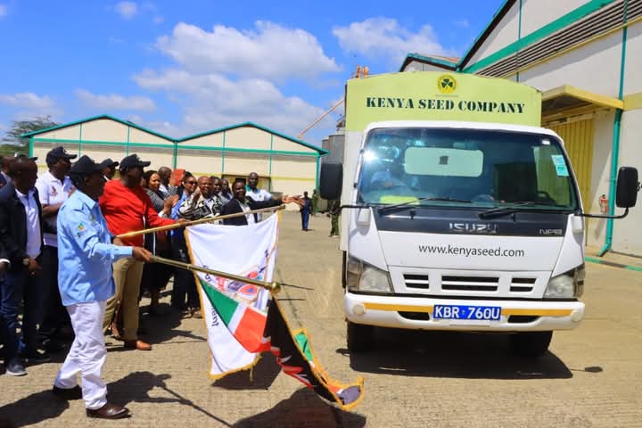 Agriculture PS Dr. Paul Ronoh (in light blue shirt) and Narok Governor Patrick Ntutu issue planting seeds to farmers at the Narok- National Cereal and Produce Board.
