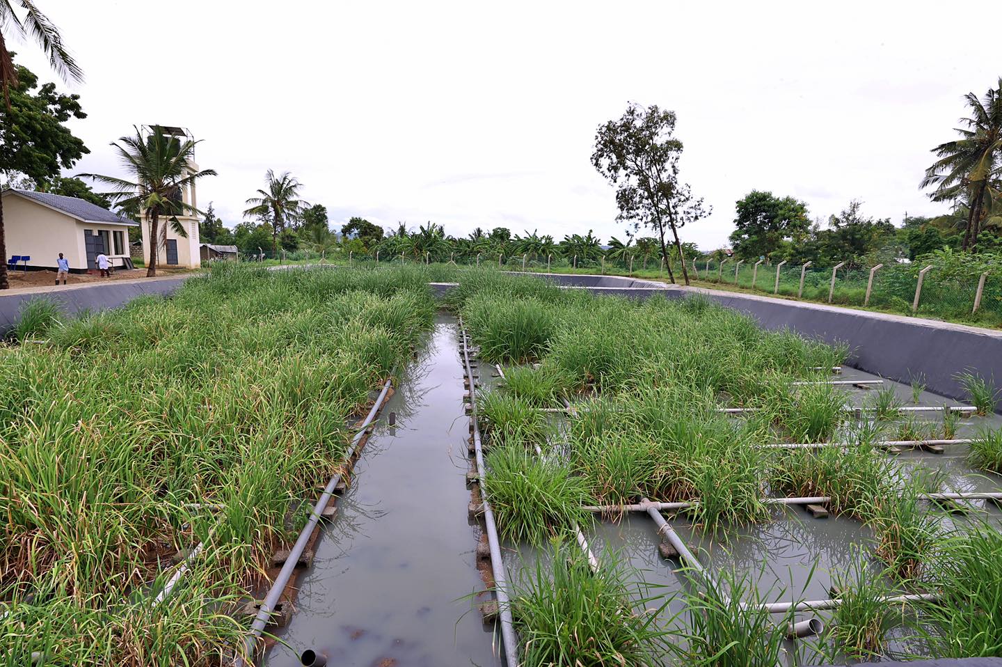 The Sh40M constructed wetland treatment plant in Mikindani, Jomvu Sub-County