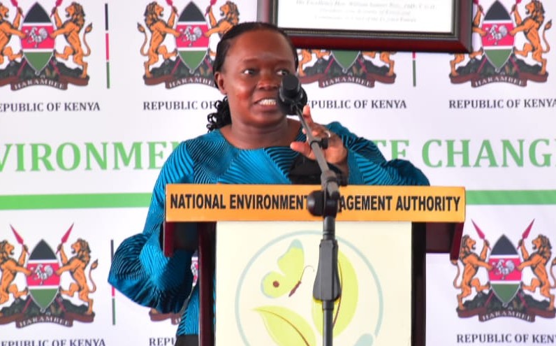 CS Environment Debora Barasa