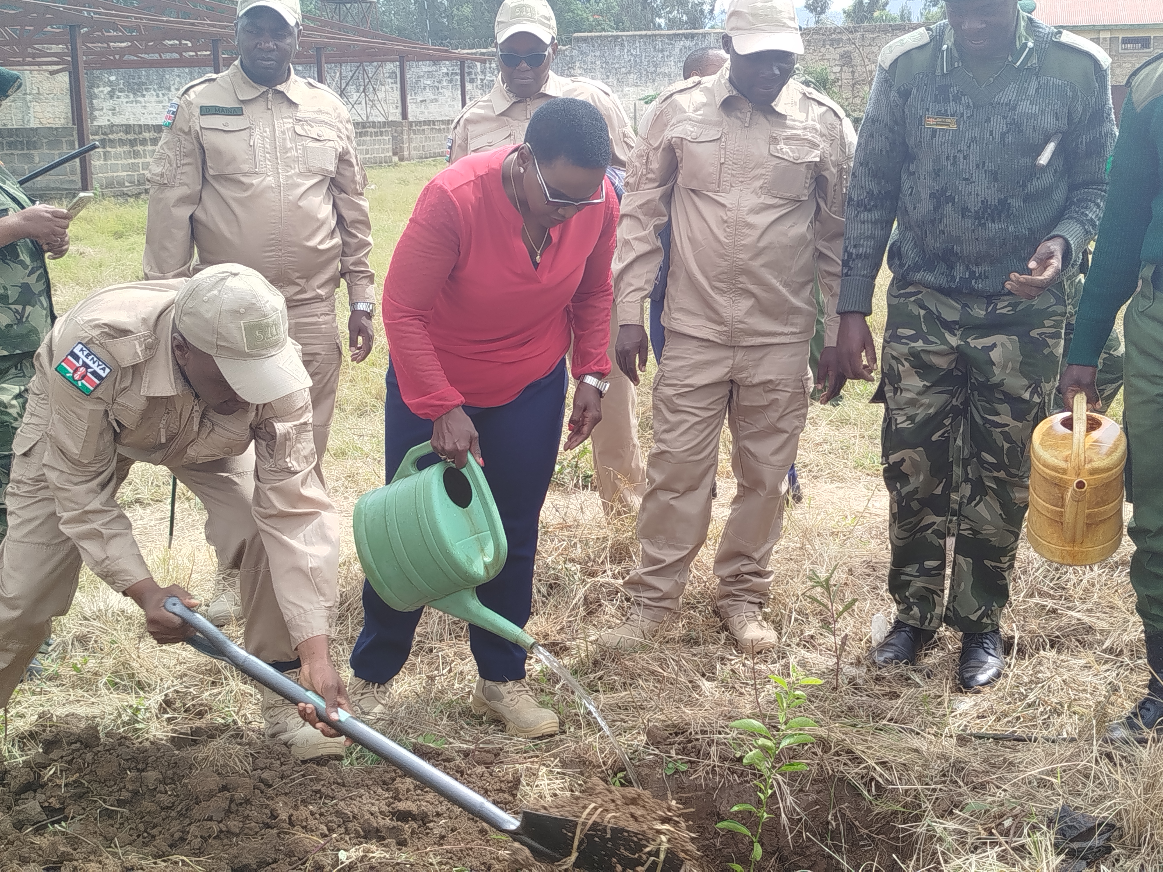 Principal Secretary State Department for Correctional Services, Dr Salome Muhia in red planting trees at the Machakos GK Prison. Photo/Anne Kangero