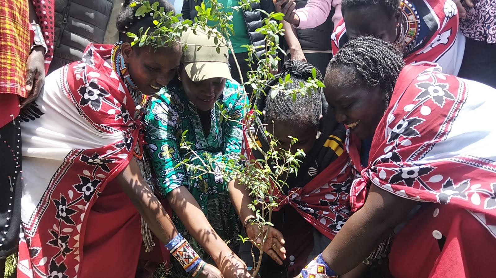 Soipan Tuya, Cabinet Secretary for Defence, (second left), pictured while planting a tree. She said that the government is reviewing policies aimed at protecting the country’s rich natural heritage from exploitation.