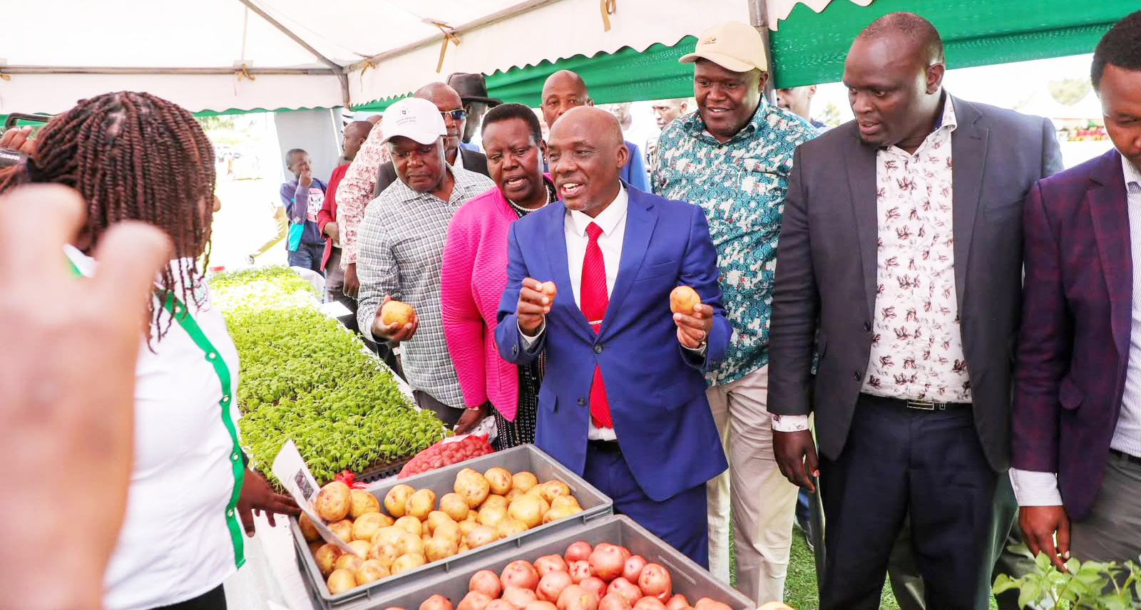 Nakuru Deputy Governor Dr David Kones, Principal Secretary for Agriculture Dr Paul Rono, Nakuru Woman Representative Liza Chelule Chepkorir, KALRO Director General Dr Patrick Ketiem and other officials examine potato varieties and seedlings during the commissioning of the KALRO Seed Potato Production Centre at Marindas, Kuresoi North, Nakuru County.