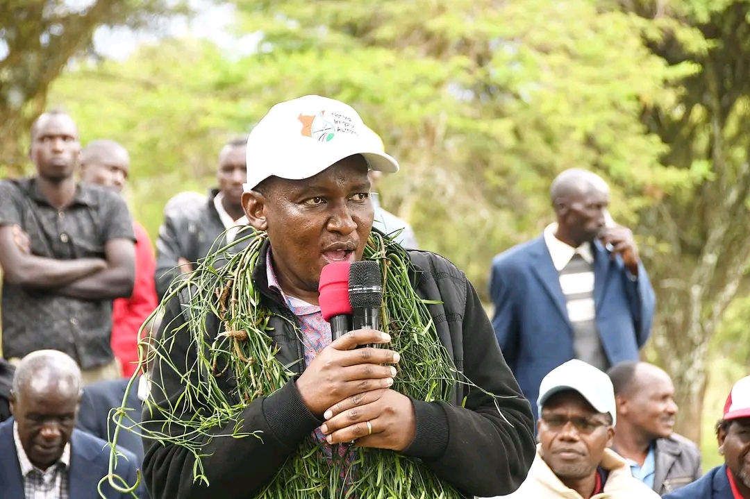 State Department for Irrigation Principal Secretary, Ephantus Kimotho, addressing the public at Kapkitany in Aldai Constituency. 