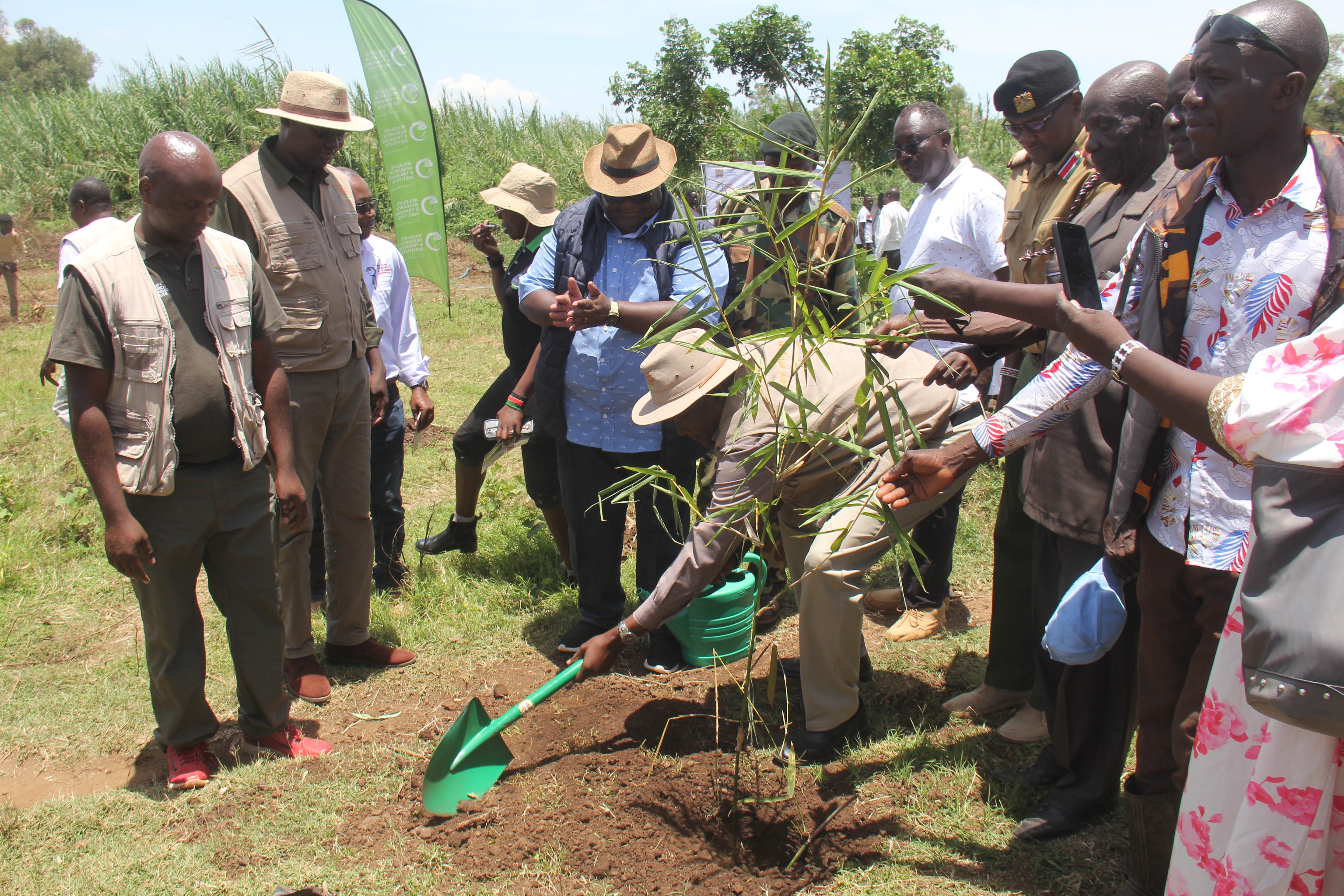 Wildlife Conservation Secretary John Chumo and Wildlife Research and Training Institute Director Dr. Patrick Omondi leads the bamboo growing campaign in Budalang'i. A total of 10000 bamboo seedlling were planted.