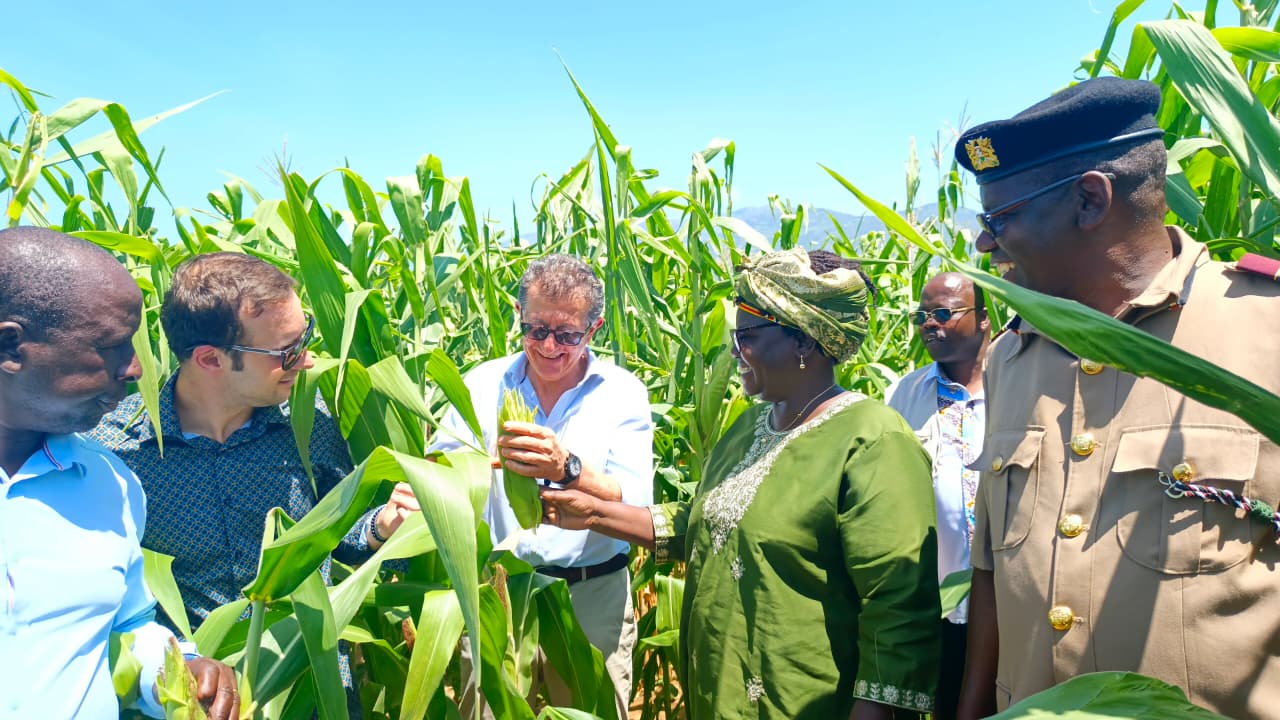 EAC Cabinet Secretary Beatrice Askul (2nd right, front), Italian Agency for Development Cooperation officials, and local leaders inspect mature maize crops within the Wei Wei Irrigation Scheme