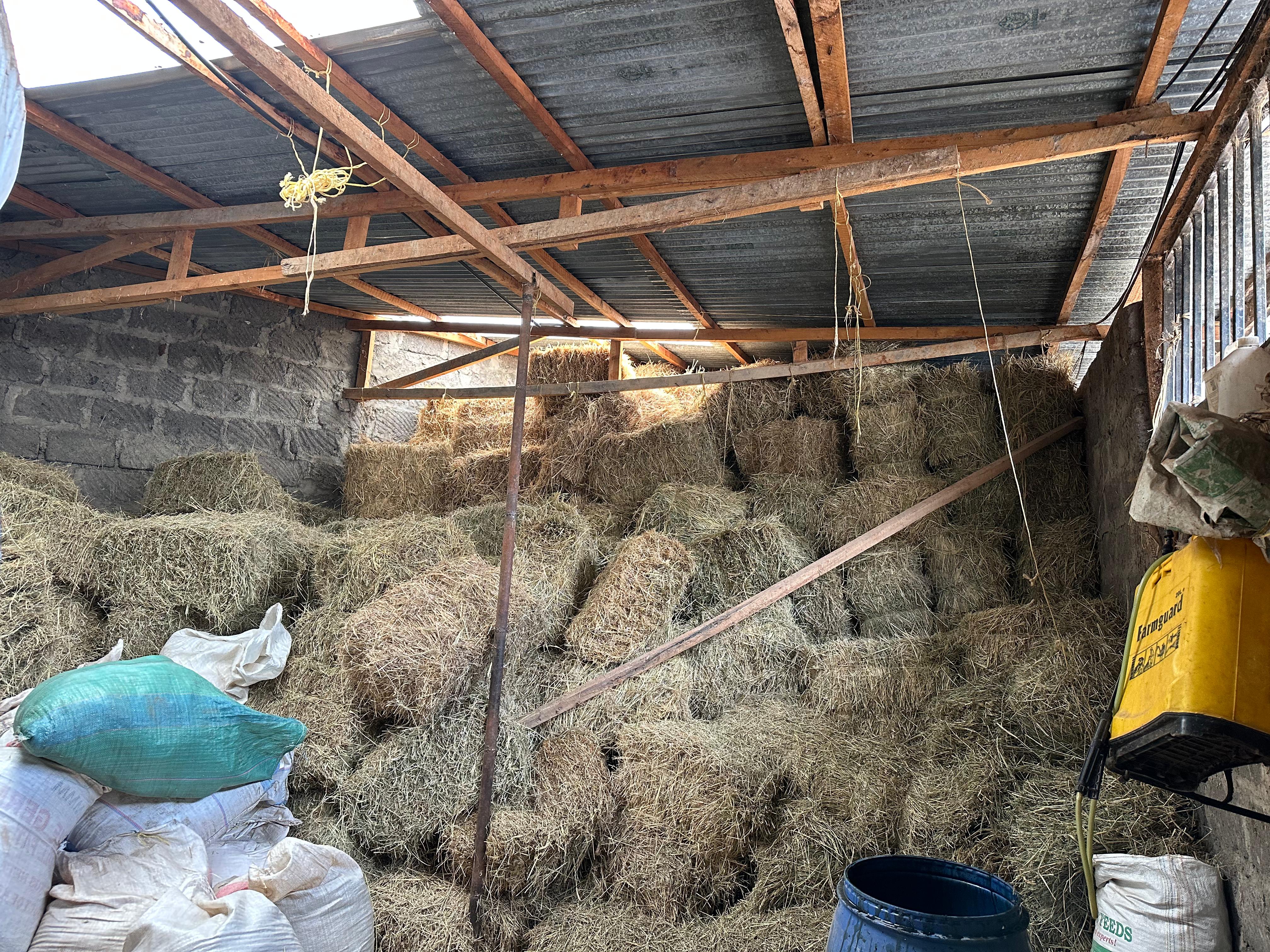 Hays stored to feed the cows. 
