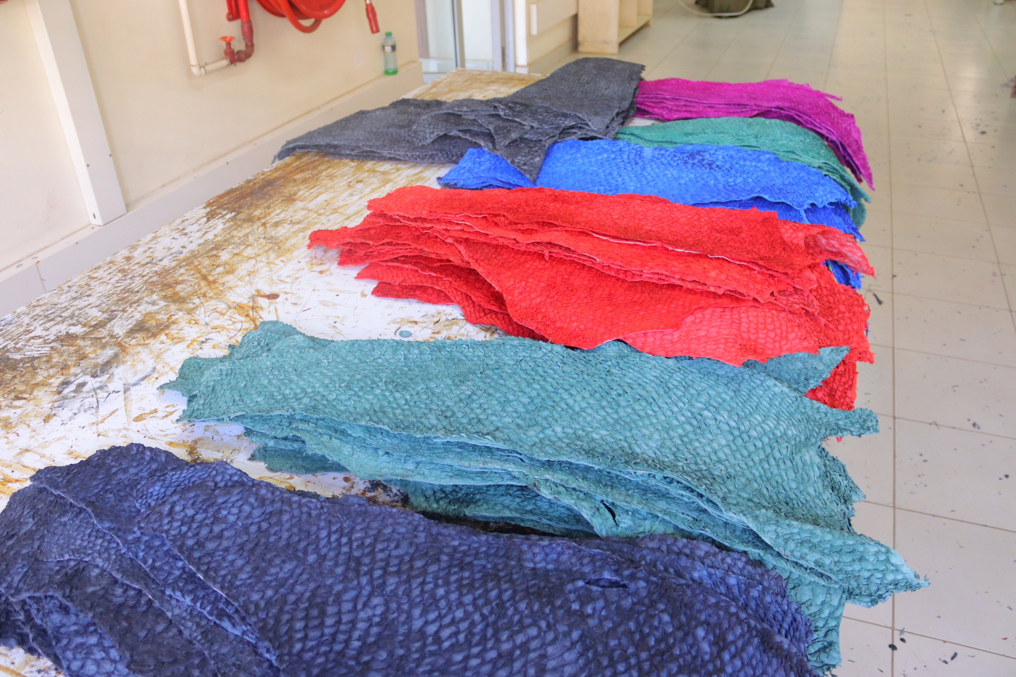 Some of the Nile Perch Fish leather pieces on display at the KIRDI western region centre in Kisumu. Photo/Chris Mahandara