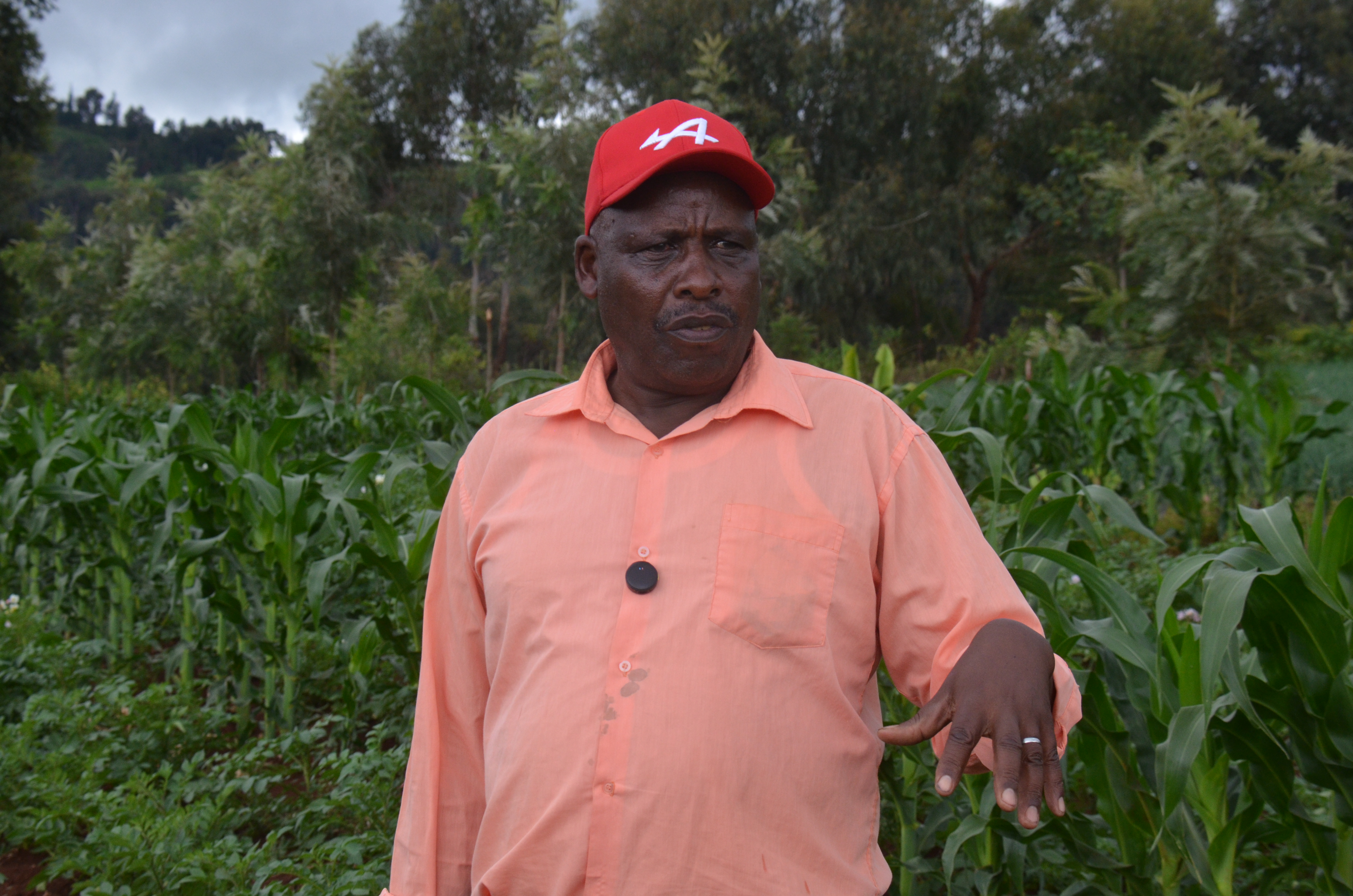 Mr Elijah Kiara, one of the farmers who have benefitted from Kiirua -Buuri water project supported by National Irrigation Authority. PHOTO: DICKSON MWITI