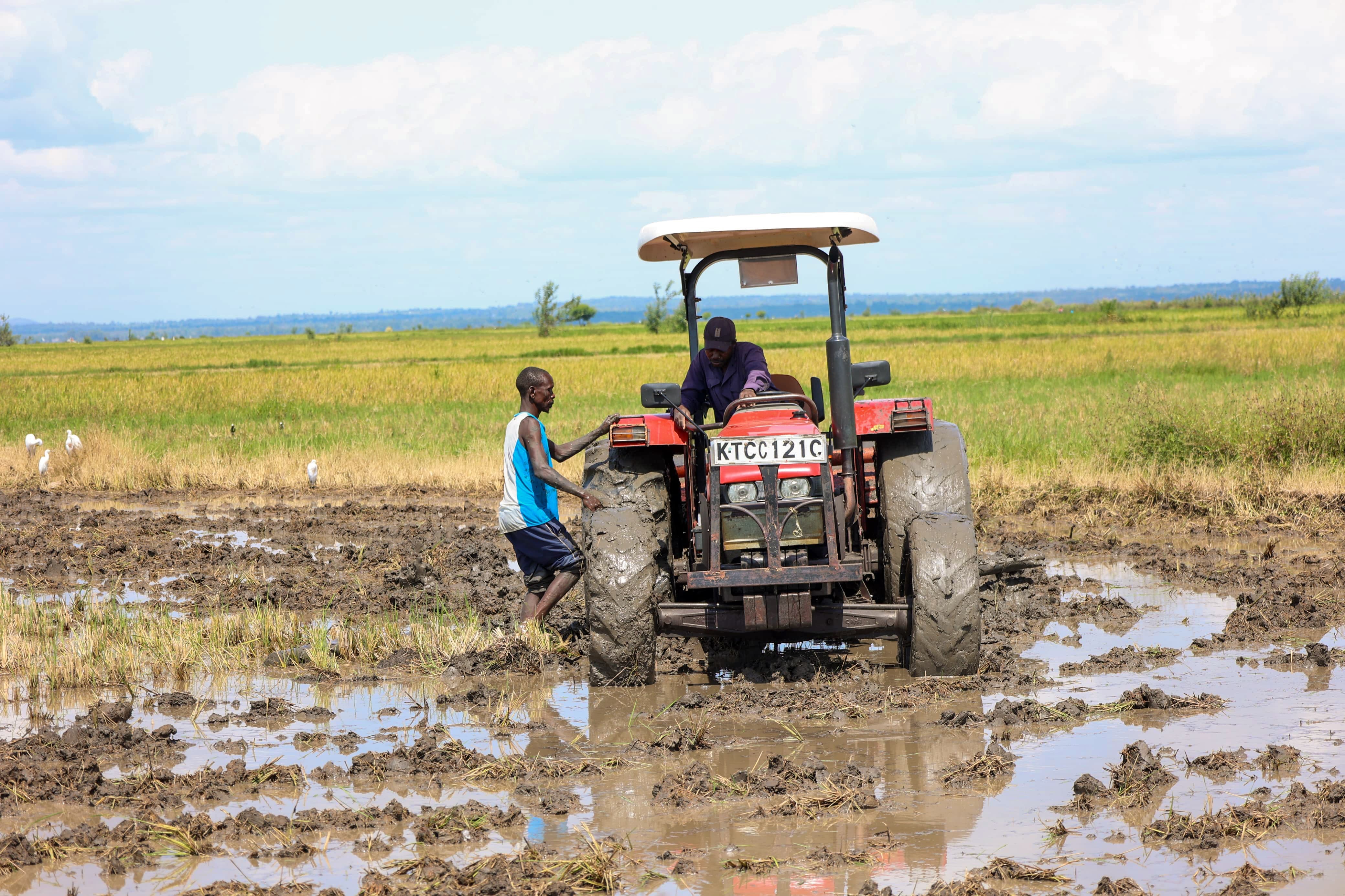 Officials from Ministry of Agriculture inside one of the rice stores in Mwea, Kirinyaga County.