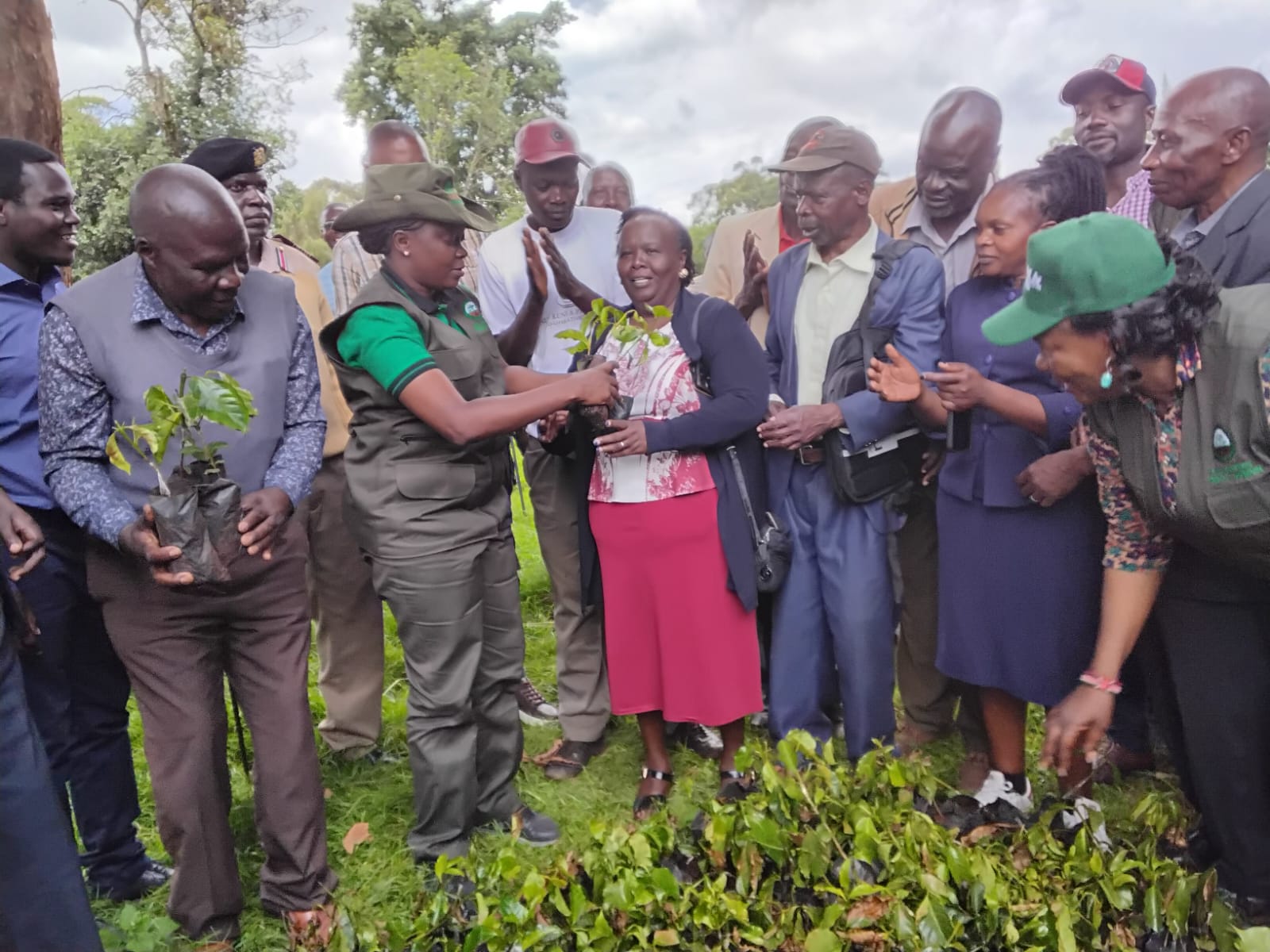 Environment, Climate Change and Forestry Cabinet Secretary Dr. Deborah Barasa flags off coffee and avocado seedlings to farmers at the Trans Nzoia County Commissioner’s residence.