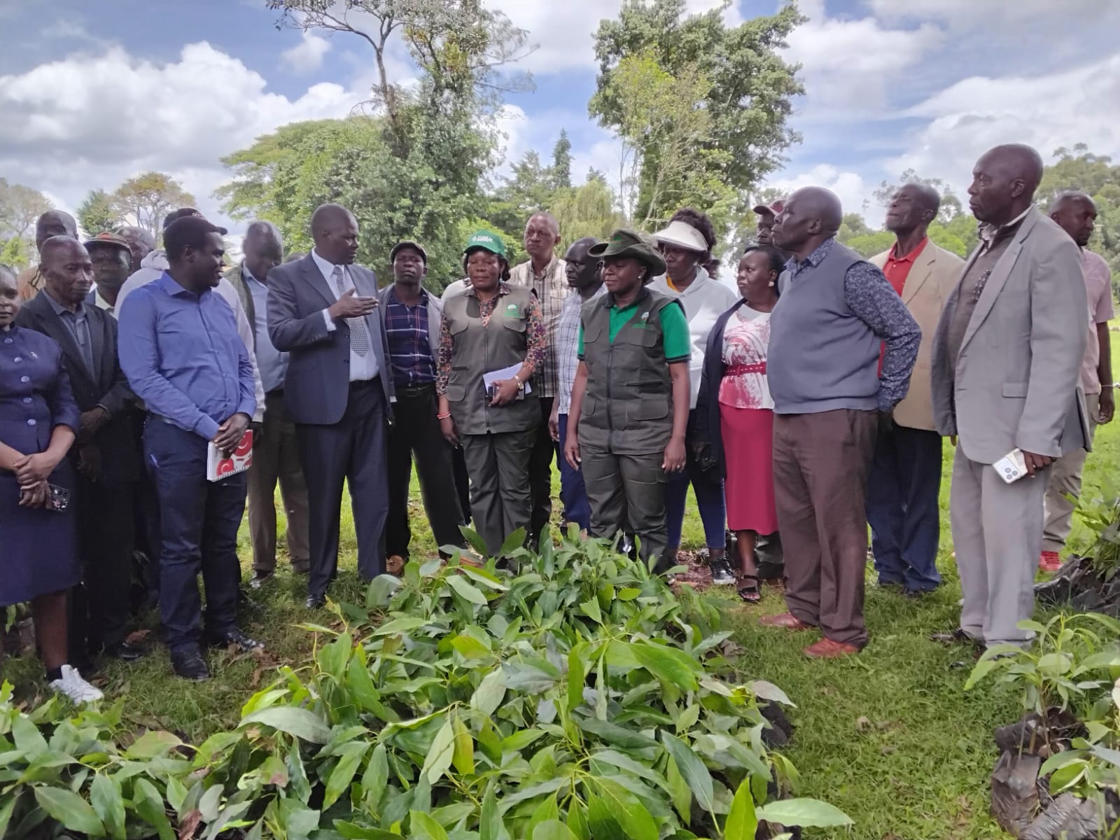 Environment, Climate Change and Forestry Cabinet Secretary Dr. Deborah Barasa flags off coffee and avocado seedlings to farmers at the Trans Nzoia County Commissioner’s residence.