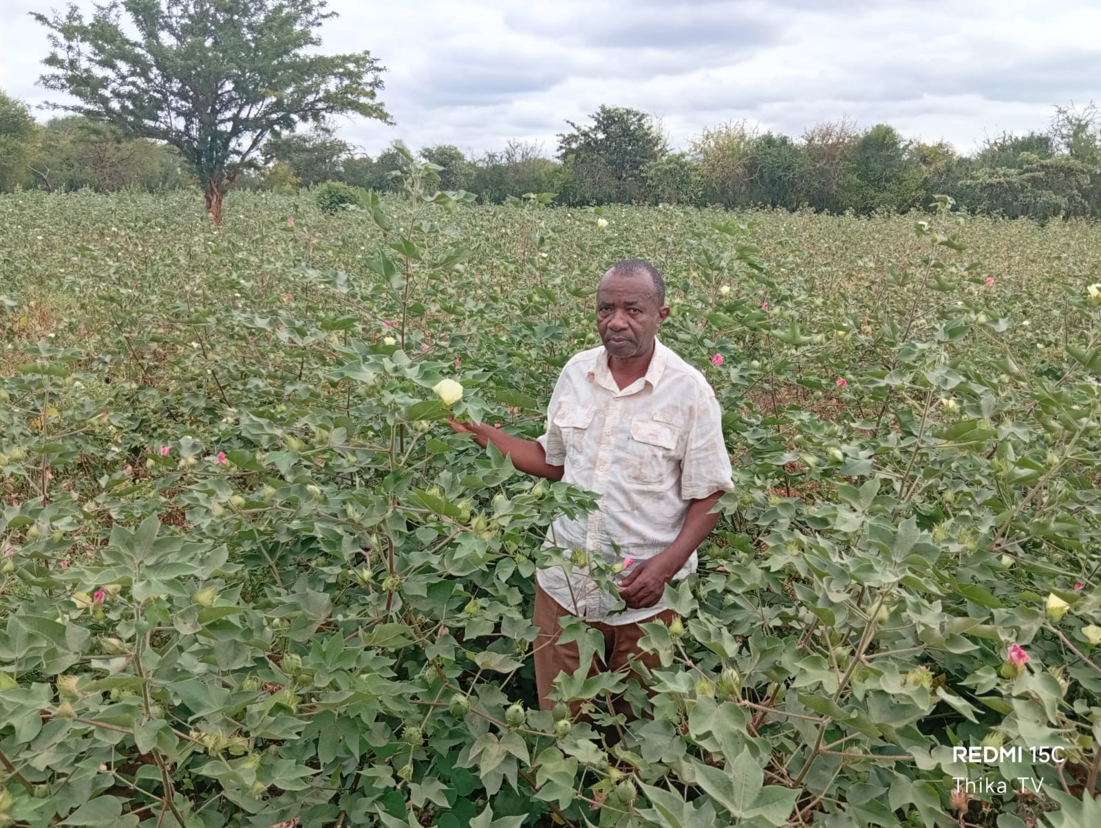 Ndalani farmers in Yatta Subcounty benefit from cotton pesticides and spraying machines from the government