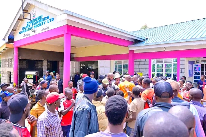 Farmers gather outside Cherobu Dairy Farmers’ Cooperative Society in Cheboin Ward, Bureti, after the co-op received a Sh10 million NAVCDP grant to boost milk processing and value addition.