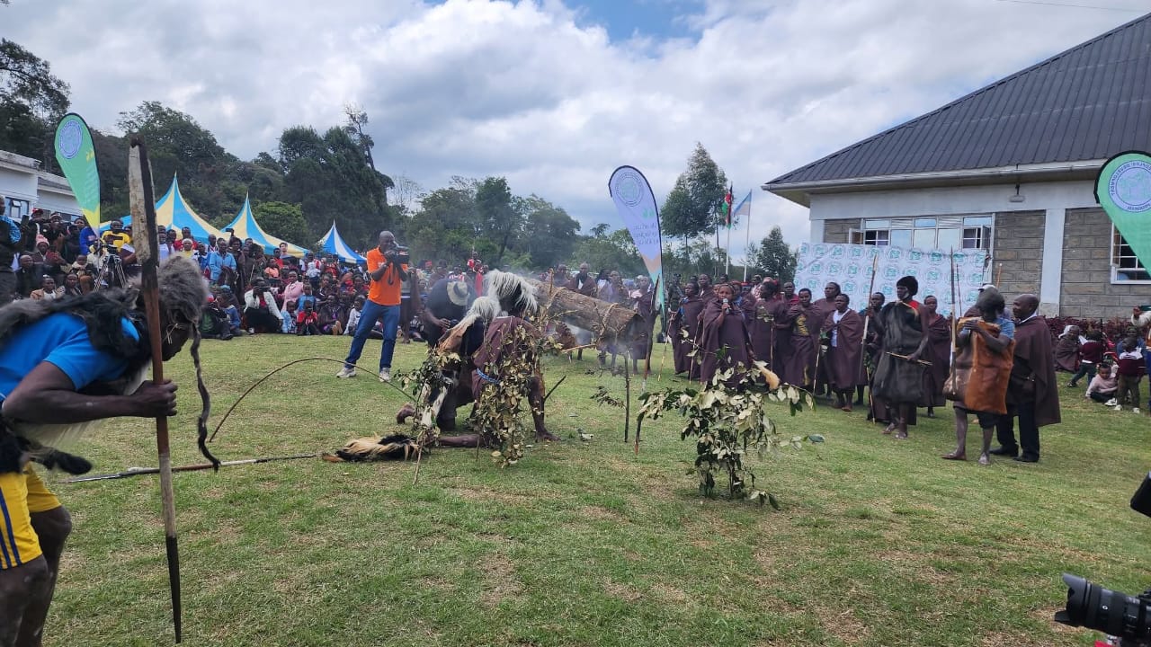 Ogiek community dancers perform during the 6th Annual Ogiek Cultural Festival in Nkareta, Narok North, showcasing the community’s rich heritage and deep ties to the Mau Forest Complex