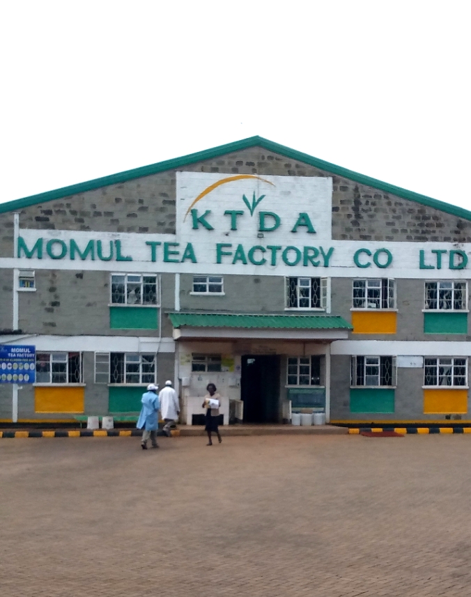 Momul tea factory located in Belgut sub-county, Kericho which paid its farmers Sh50.30 per kilogram bonuses rate for the financial year 2023/2024, the highest in the West of the Rift Valley region