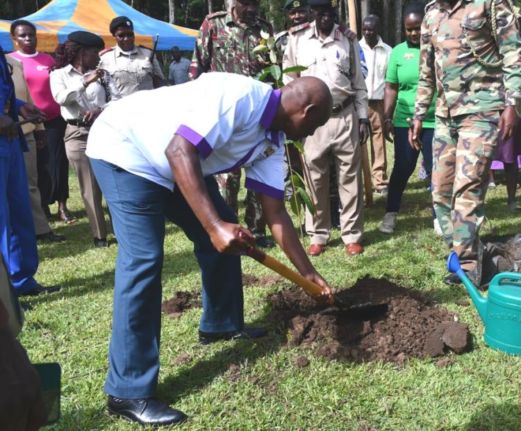 Secretary of Administration in the State Department for Gender and Affirmative Action Moses Ivuto backfills a tree hole at Lumama area of Lugari forest in Lugari Sub County, where over 3000 indigenous tree seedlings were planted.