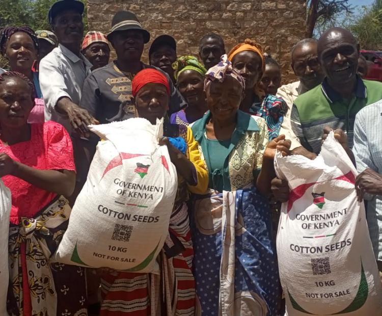 Ndalani cotton farmers in Yatta, Machakos County receive free seeds from the government this rainy season. 