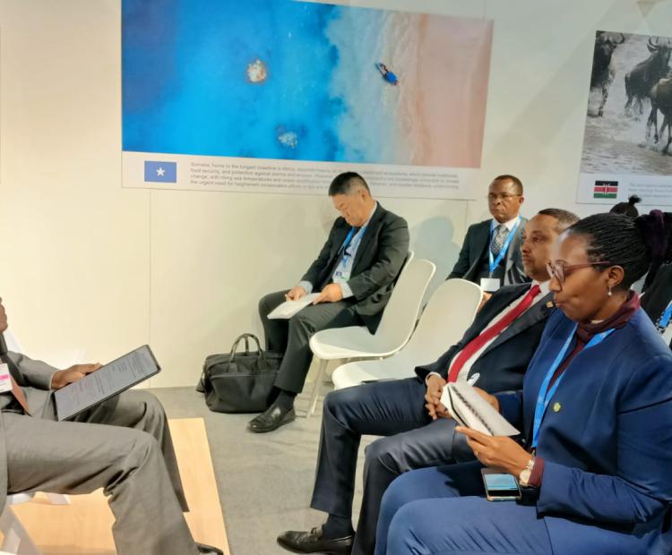 EAC Deputy Secretary General in charge of infrastructure, productive, social and political sectors Andrea Aguer Ariik (L) during the COP29 side event in Baku, Azerbaijan.  Photo/LVBC