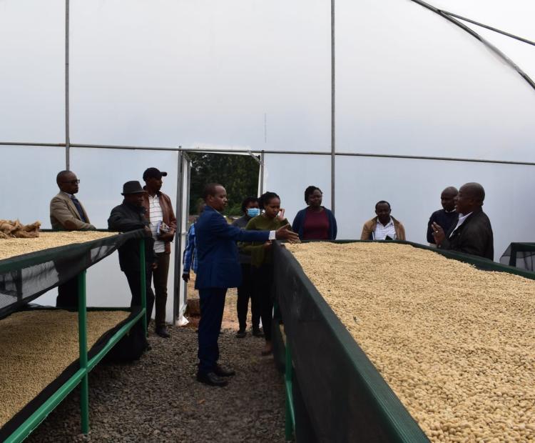 Nyeri County Climate Change Director Yvonne Mathenge (in maroon top) with other county government officials when they visited a coffee solar dryer at Chorong’i Coffee Factory in Ruring'u ward, Nyeri Central Sub County..