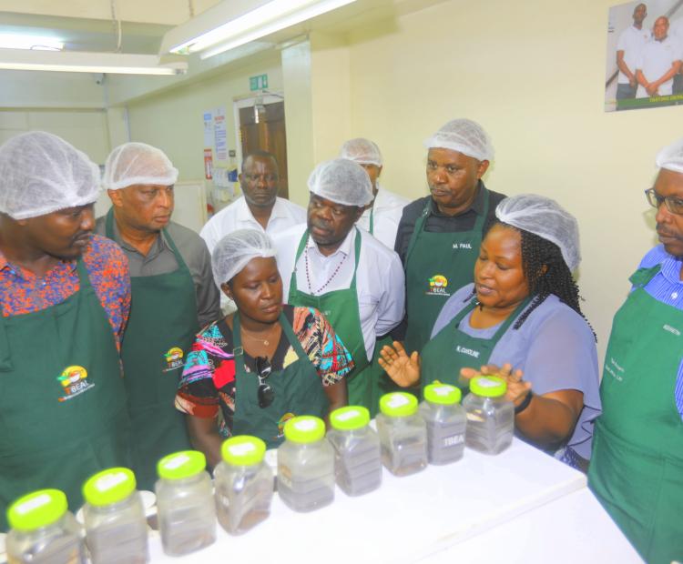 A section of the Senate Standing Committee members on Trade, Industrialization and  Tourism members sample tea at the Mombasa tea auction.  Photo/Andrew Hinga.