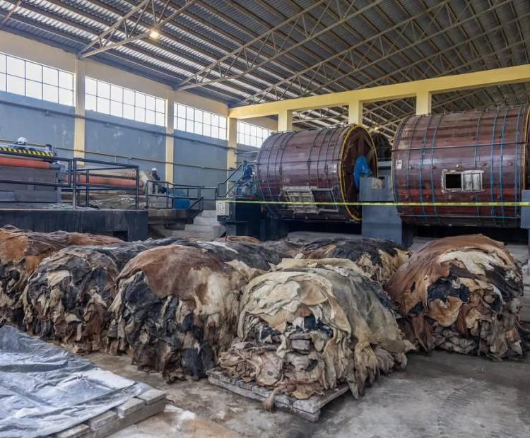 Operations at the Ewaso Nyiro Leather Tannery in Narok