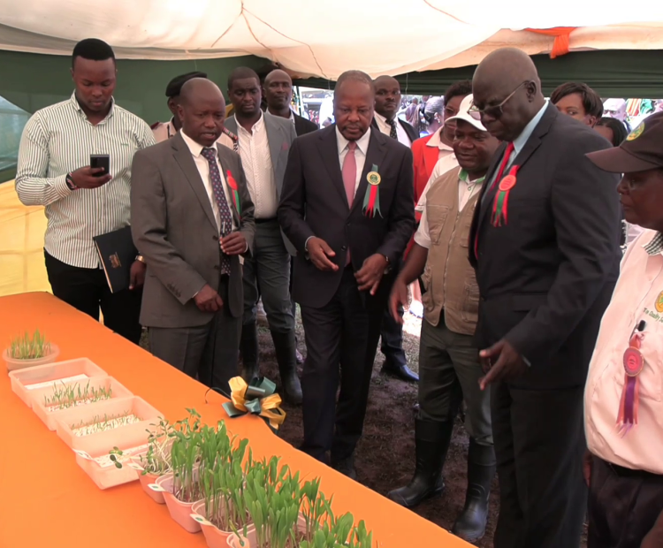 The Cabinet Secretary, Ministry of Agriculture and Livestock Development Mutahi Kagwe tours the Kenya Seed Company Stand at the Agriculture Society of Kenya(ASK) Kakamega Show. Photo/Moses Wekesa.