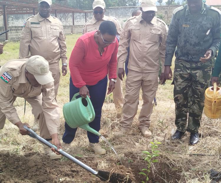 Principal Secretary State Department for Correctional Services, Dr Salome Muhia in red planting trees at the Machakos GK Prison. Photo/Anne Kangero