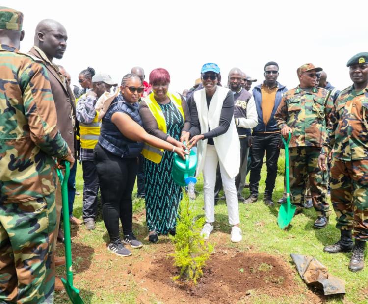 Environmental stakeholders planting trees at the Mau Forest Complex.