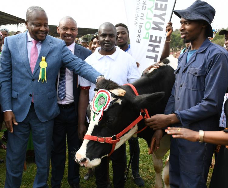 griculture and Livestock Development Cabinet Secretary, Mutahi Kagwe (L), admires one of the Friesian cows exhibited during the 57th edition of the Central Kenya, Agricultural Society of Kenya show at Kabiru-ini showground in Nyeri 