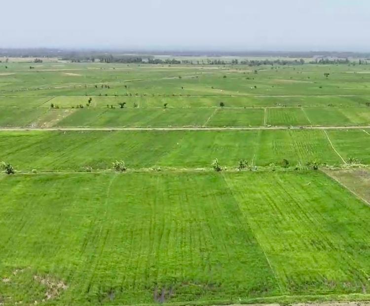 Water canal passing Karaba section.