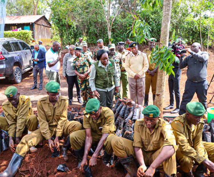 Environment, Climate Change and Forestry Cabinet Secretary Dr Deborah Barasa (standing in the middle) engages National Youth Service (NYS) officers potting seedlings under the 15-billion tree-growing campaign during a briefing at Ngong Hills Forest Station.