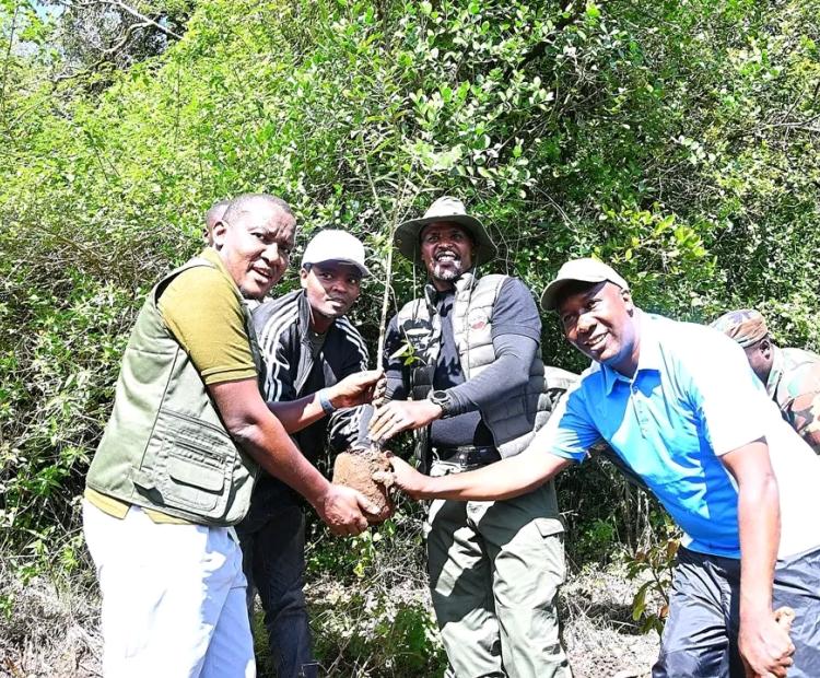 State Department for Environment and Climate Change Principal Secretary, Eng. Festus Ng’eno and State Department for Irrigation Principal Secretary, Ephantus Kimotho planting a tree in Oloolua forest, Kajiado county.