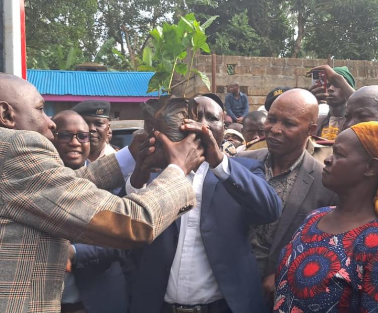 Coffee farmers receiving a consignment of high yielding coffee sedlings targeted at increasing production in Tharaka Nithi County. PHOTO: CHRISTINE NGITORI/KNA
