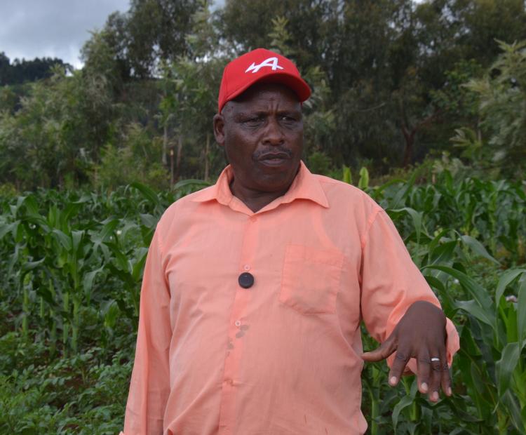 Mr Elijah Kiara, one of the farmers who have benefitted from Kiirua -Buuri water project supported by National Irrigation Authority. PHOTO: DICKSON MWITI