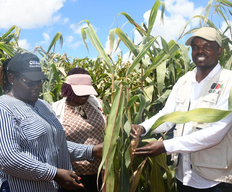 The Baricho Bridge in Malindi Sub County, Kilifi County which a multi-agency government team inspected on Thursday March 26, 2026. The bridge that connects Magarini and Malindi sub counties is more than 99 percent complete and is regarded as a key enabler for the Galana Kulalu Food Security Project.