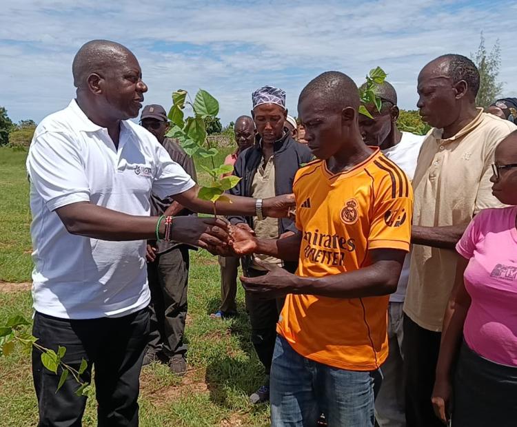 Chairman of the Agriculture Food Authority (AFA) Cornelly Serem (left) distributing cotton seedlings to farmers during an agricultural support initiative in Kwale.