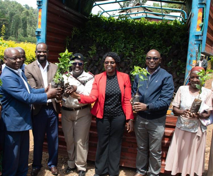 Second from Left, New KPCU MD Timothy Mirugi joined by Henry Kinyua (second from right), member of National Coffee Revitalization steering committee in Kenya, during a distribution exercise.