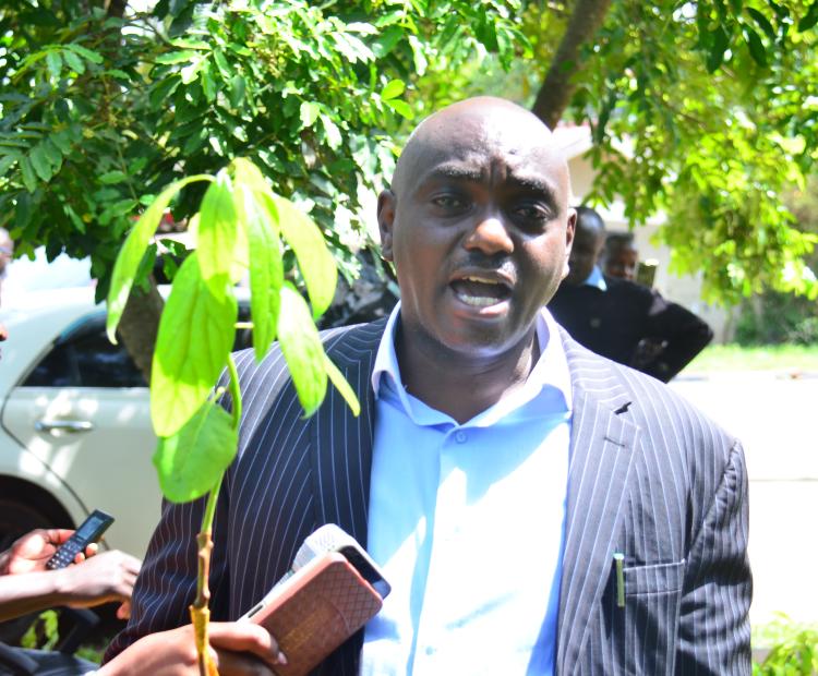Migori County Commissioner Kisilu Mutua carrying one of the 42,000 grafted avocado seedlings ready for distribution to farmers in Migori County. PHOTO: MARGARET VANJELYN
