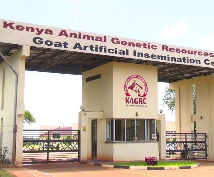 Entrance of Kenya Animal Genetic Resources Centre Goat Artificial Insemination facility at Ndomba in Central Kenya.