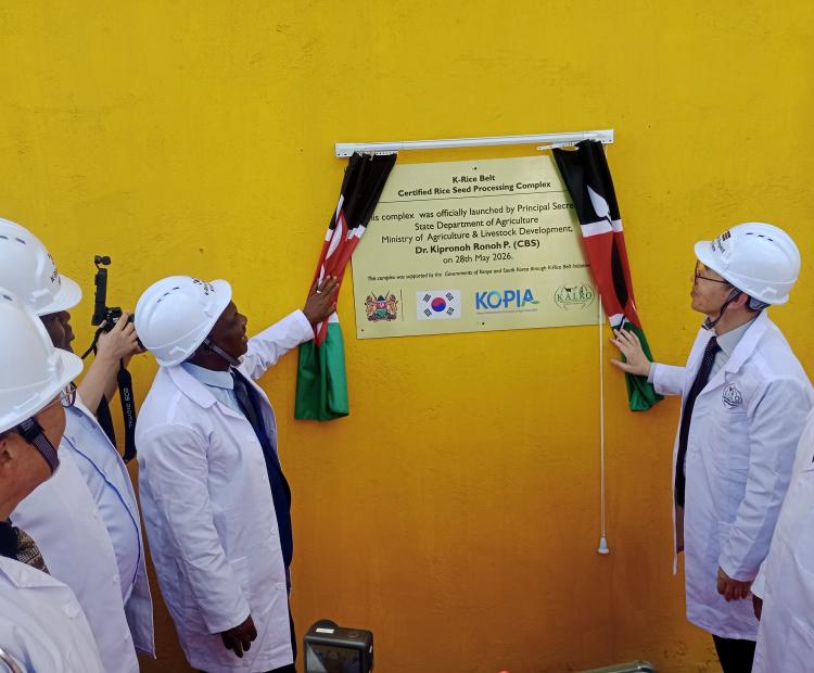 Agriculture Principal Secretary Dr. Paul Kipronoh Ronoh and South Korean Ambassador to Kenya Kang Hyung-shik during the launch of the certified rice seed facility in Mwea.