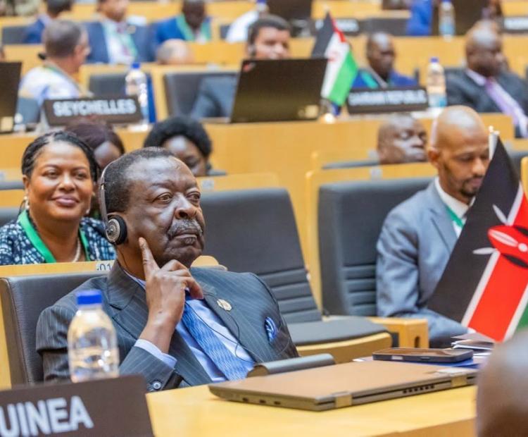 Mudavadi