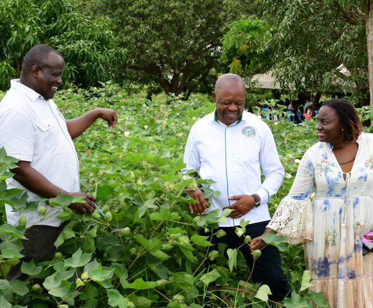 National Biosafety Authority Chairman Mr. David Wamatsi, Lamu County CEC-Agriculture Mr. James